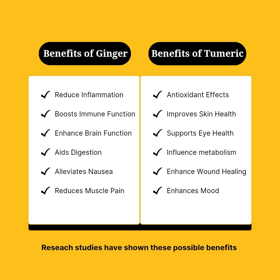 Ginger Turmeric Wellness 24xShot