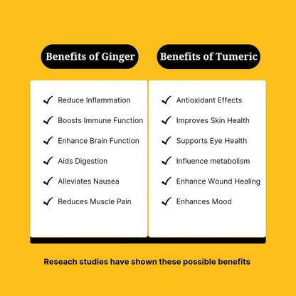 Ginger Turmeric Wellness 24xShot